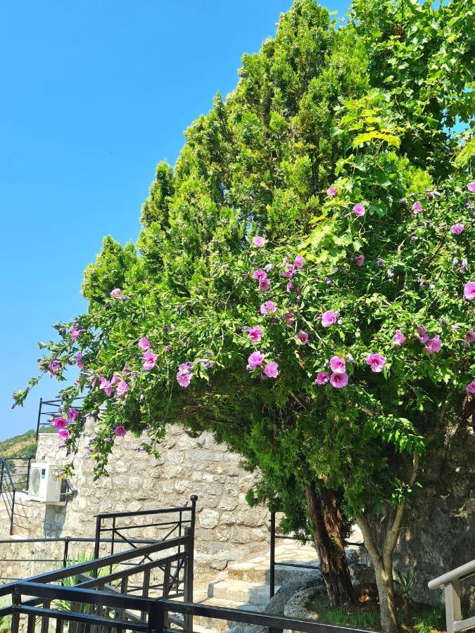 בודווה Villa Nera מראה חיצוני תמונה